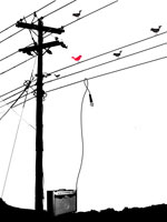 images/album2/illustrations03.jpg